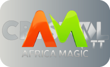 Africa Magic Epic