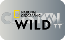 NATIONAL GEOGRAPHIC WILD